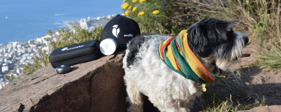 Stoner Dog Walks With Kenny