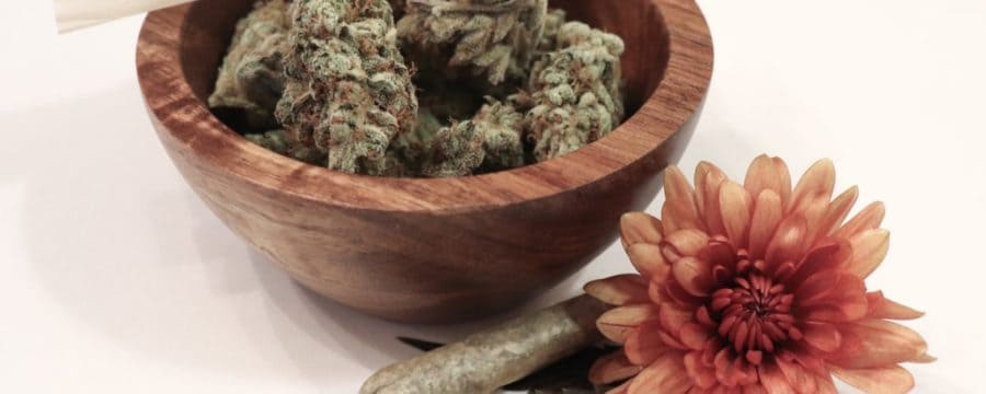 Seed Banks | Flowers | Cannabis