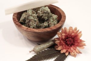 Seed Banks | Flowers | Cannabis