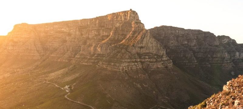 Backpackers Cape Town Cannabis