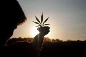 Cannabis Trends 2021