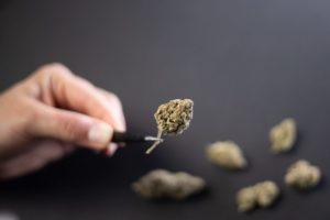 Grow Season!