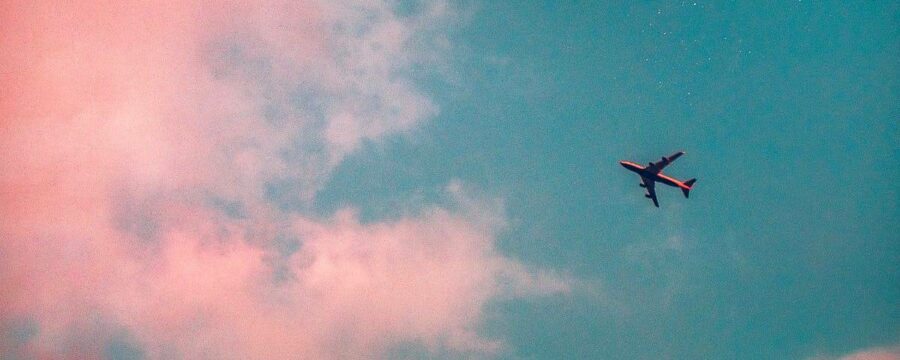Flying Cannabis / Edibles