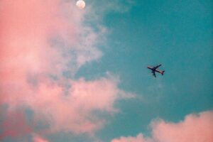 Flying Cannabis / Edibles
