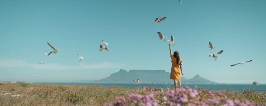 What Does 420 Mean To South Africans?