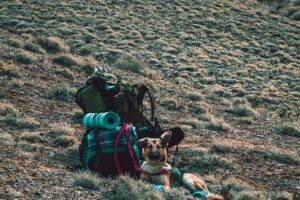 Camping - Western Cape
