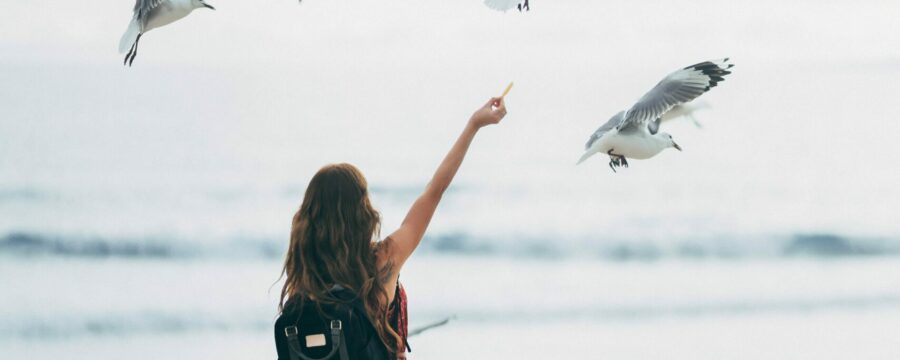 Stoner Beaches
