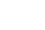 Zootly-Hoot