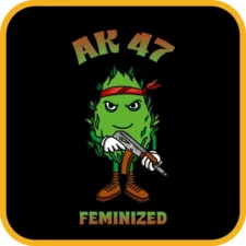 AK47 Feminized