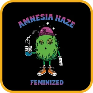Simba Seeds Amnesia Haze – Feminized