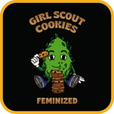 Girl Scout Cookies Feminized