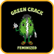 Green Crack Feminized
