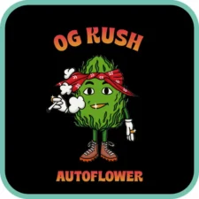 OG Kush Autoflower