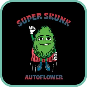 Simba Seeds Super Skunk – Autoflower