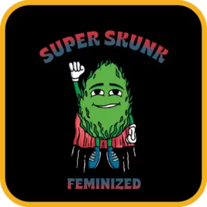 Simba Seeds Super Skunk – Feminized